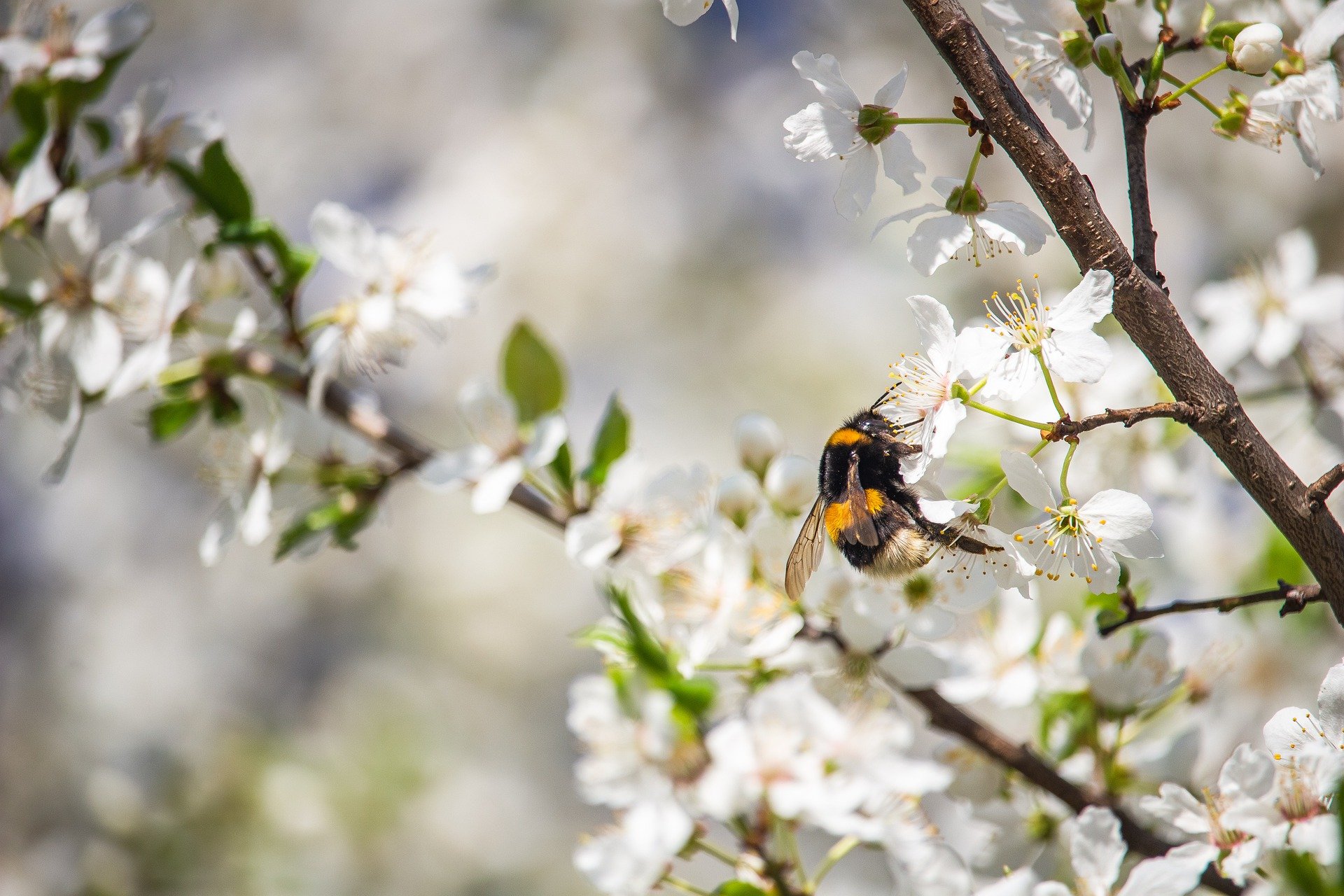 Spring Into a Secure Season: Three Tips to Up Your Home Security